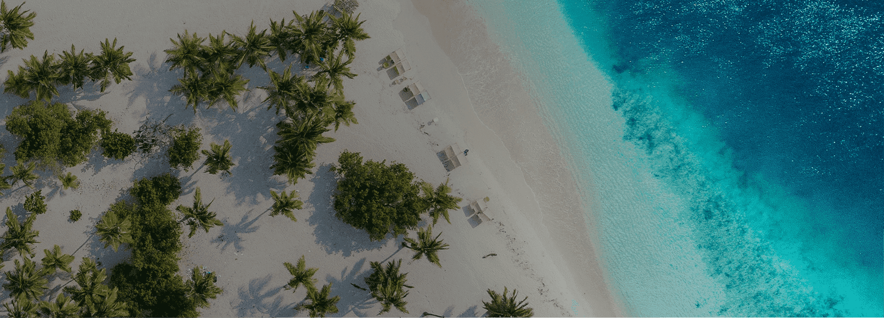 Rectangle 10 (1).png