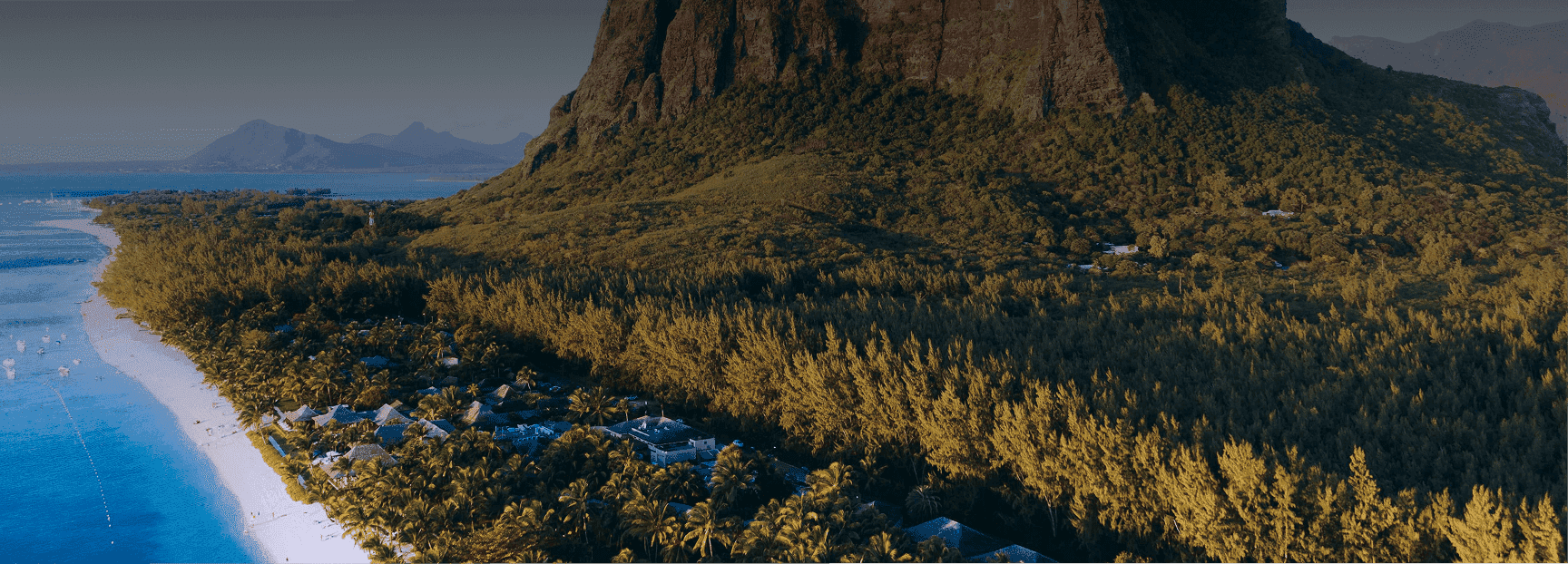 Rectangle 10 (4).png